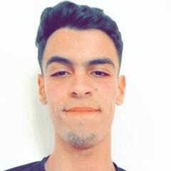 Aymane Barakat, Programme Analyste de Données