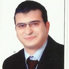 Yousef Abdelsalam, Accountant