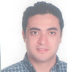 Ahmed ElAlaily, Sales Engineer
