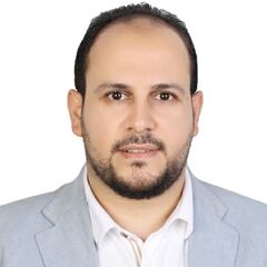Ahmed Abdelhaviz Nasr, Sales Manager 