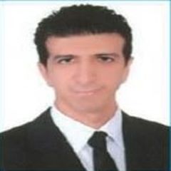 Ahmed El-toukhy, Oracle HCM Techno-Functional Consultant 