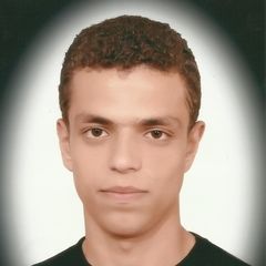 farid Abdel Tawab Abu alQasim