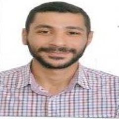 معتز ابو العزايم, IT Assistant Manager