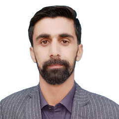 Muhammad Salman KhanJalil, Freelancer