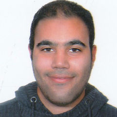 Kareem Mohamed Zaki, Business Analyst