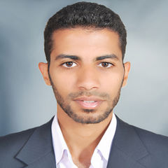 محمد الزو, برمجة و تصميم المواقع الالكترونية