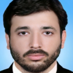 Syed Mohsin Ali Shah