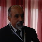 Abdalla Fekry, Board member