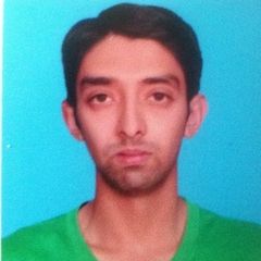 Waleed Saleem, Project Director