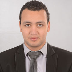 Ahmed Abd elQawy Hassan Salh , محاسب عام