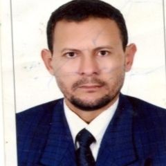 Ramadan Ibrahim Mahmoud Hamouda, Procurement Engineer