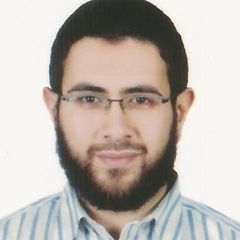 Ahmed Kamal, Senior Analyst,Engineering