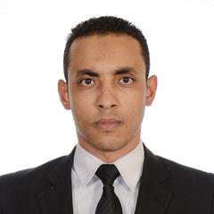 أحمد منصور عبده منصور , Financial Accountant