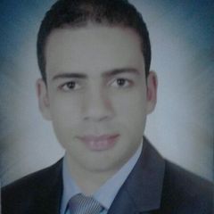 Abd elhakim Shaarawy, ادخال البيانات