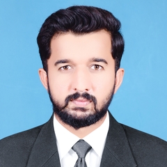 Nasir Abbas, Research Associate GIS
