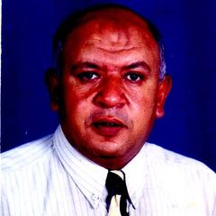 طارق مصطفى, construction project manager