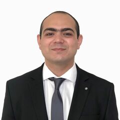 Mahmoud EL-Yamany, software implementation consultant 