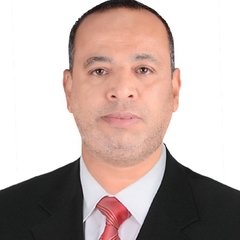 Ali Mostafa, qa mechanical engineer