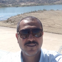 Ahmed Adel