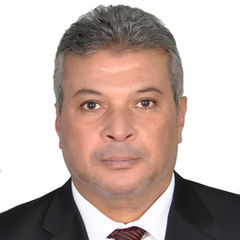 طارق محمد حامد Hamed, Financial Manager