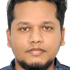 Foysal hossain, Consultant