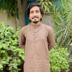 Salman Ali