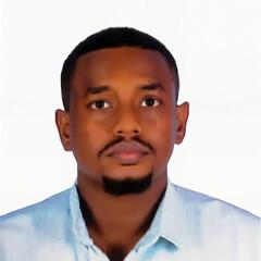 Mukashfi Elnaiem Abdalla Ali Ali