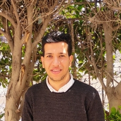 Mohamed Abdelrhman Kamal Abdelrhman