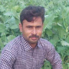 Ghulam  Mustafa