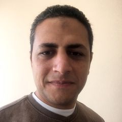 محمد عبدالنبي مصلحى عبدالرحمن, Financial Manager