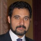 Mohamed Amr Mansour, Senior ICT Consultant