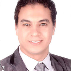 Mustafa Abdel Aziz Ahmed Ibrahim, محام