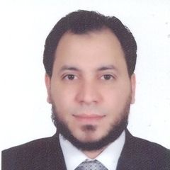  ayman fouad elsayed ahmed ahmed, مدير قسم الكهرباء