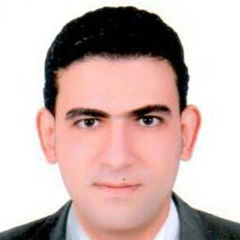 محمد على محمود غرابه ghoraba, محاسب مراجع حسابات