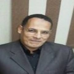 Mohamed Shehata Mehran Adam Shehata Mehran, باحث شئون ادارية
