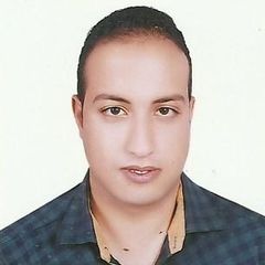 Ahmed Abd-Elrahman Mohamed Ibrahim