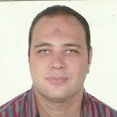 Amir Abd Elaziz Ismail Almadlawy, Shief accountant