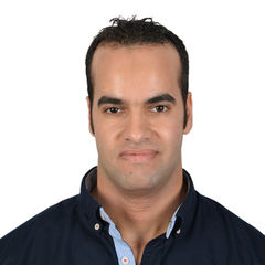 Mohamed Aly Metwally