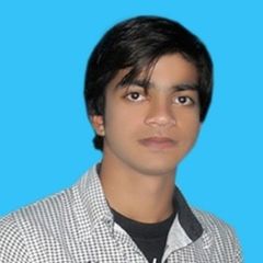 Muhammad Mutahir Naeem, Records And Documents Management Services Associate