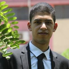 Mohamed Gamal, maintenance engineer