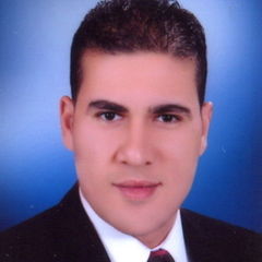 mostafa amin