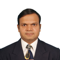 Mahesh Anerao, Treasurer/Business Analyst
