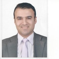 كريم المصري, Sales Manager