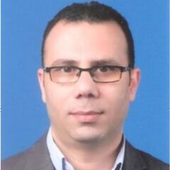 mostafa hasan abdul salam mohamad, مدير إدارة نظم معلومات