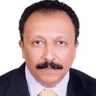 Hesham Adly Mohamed, Owner Rep. & Board Member
