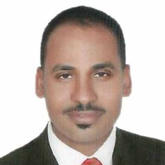 Mohamed Fahmy Aboubakr Ahmed, رئيس حسابات
