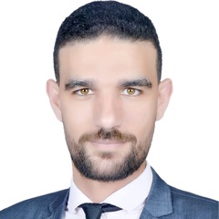 Walid Gharieb Mohamed Abdel-Ghaffar