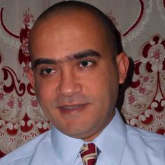 Mohamed Tallat, Technology Consultant