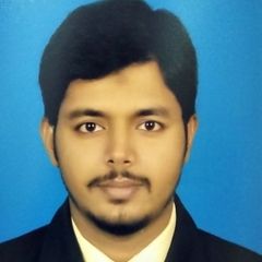 Mohammed Mahir Ameen, IT Consultant