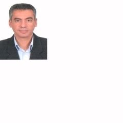Amr Zaki, Senior Manager
